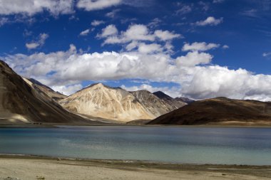 lake pangong, Hindistan, yaz aylarında Ladakh peyzaj
