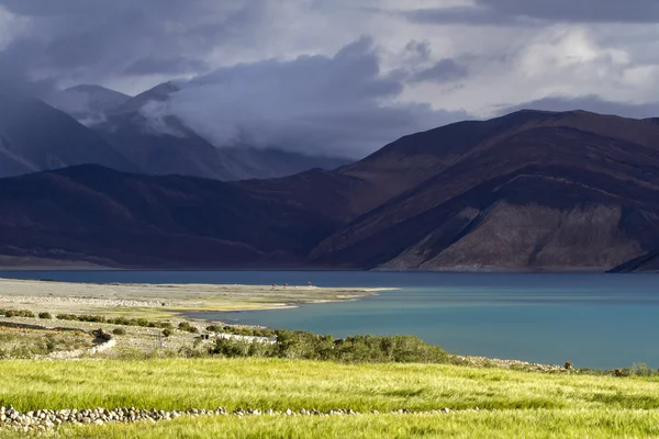 Paysage ladakh sur le lac pangong, Inde, en été — Photo