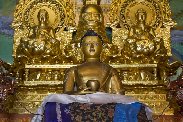 Statue de Bouddha dans un temple au Ladakh, Inde — Photo