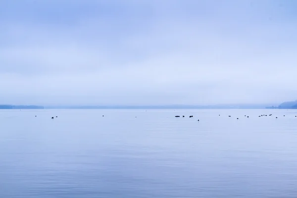 Jezero Chiemsee v Bavorsku, Německo — Stock fotografie