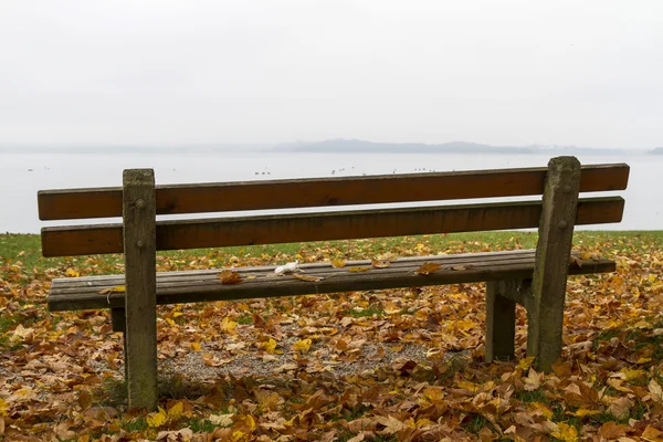 秋で、ドイツ、バイエルン州の湖の上の公園のベンチ — ストック写真