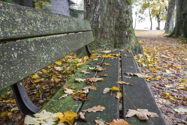 Banco del parque en un lago en Baviera, Alemania, en otoño —  Fotos de Stock