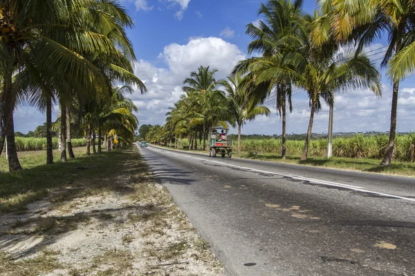 Küba palmiye ağaçları ile köy yolunda — Stok fotoğraf