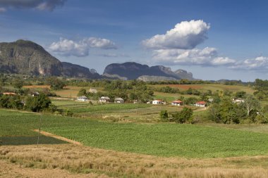 vinales yanında tipik Küba peyzaj