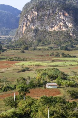 vinales kasabası yakınlarında tipik Küba peyzaj