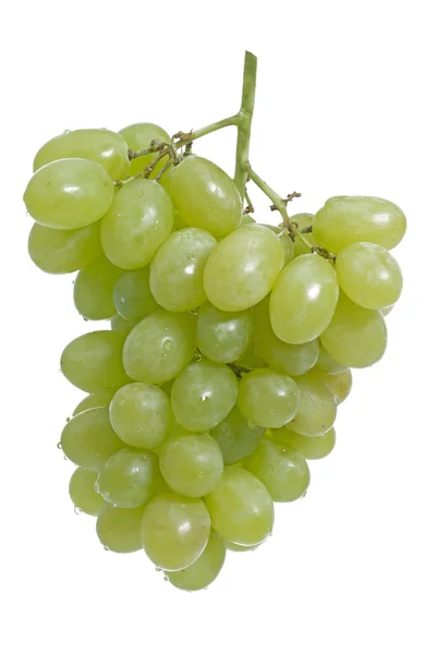 Grapes isolated on white background — Stock Photo, Image