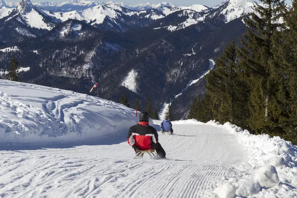 Sledding down Wallberg moutain, Bavaria — Stock Photo, Image