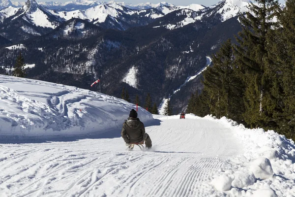 Sledding down Wallberg moutain, Bavaria — Fotografie, imagine de stoc