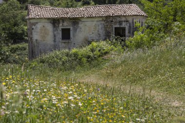 perithia eski dağ köyde görülen Korfu, Yunanistan, yıpranmış evi