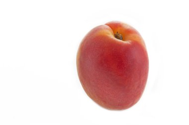 Olgun kayısı closeup beyaz zemin üzerine