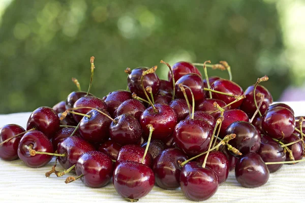 Cerejas frescas close-up — Fotografia de Stock