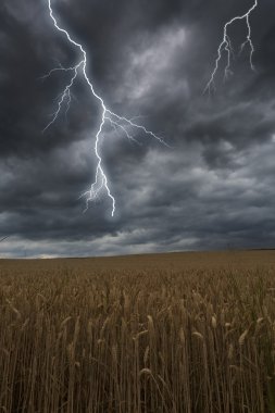 bavaria, Almanya için arpa alanın üzerinde flaş yıldırım