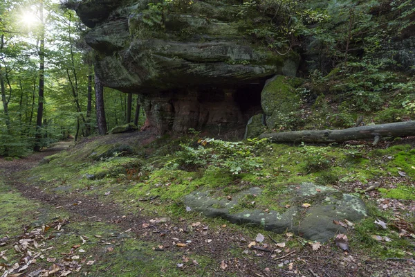 La célèbre "forêt du Palatinat" en Allemagne — Photo