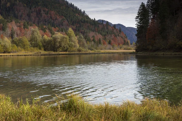 Autunno al lago "Mittersee" in Baviera, Germania — Foto Stock