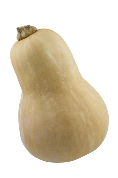 Το butternut κολοκύθα, απομονωμένα σε λευκό — Φωτογραφία Αρχείου