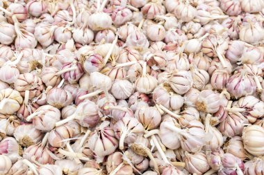 bir pazarında Satılık kuru sarımsak