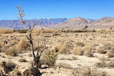 tipik Fas peyzaj, Kuzey Afrika