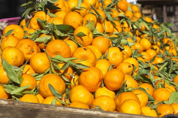 Mandarinas maduras em um mercado em Marrocos — Fotografia de Stock