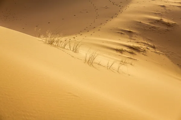 Deserto de Erg Chebbi, Marrocos, Norte de África — Fotografia de Stock