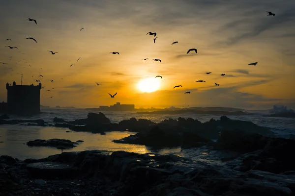 Tramonto a Essaouira, Marocco — Foto Stock