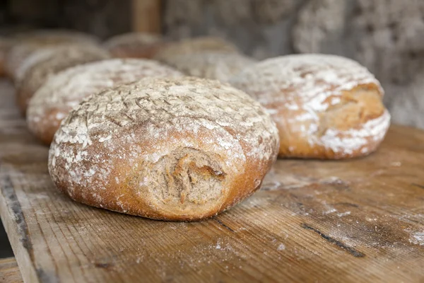 Fresh German wood oven bread — Stock Photo, Image