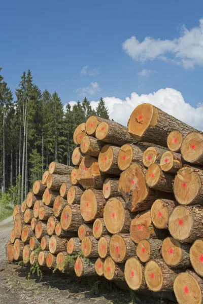 Industri kayu di Jerman — Stok Foto