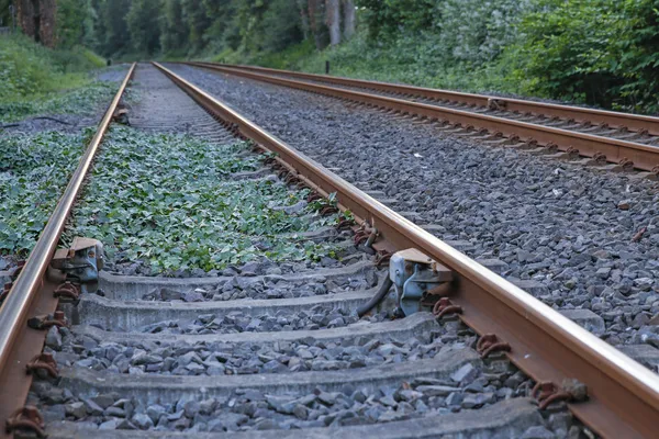 Linha férrea numa zona rural — Fotografia de Stock