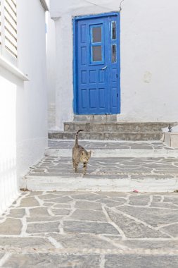 tipik Yunan sokakta bir kapı, kedi ve adımları