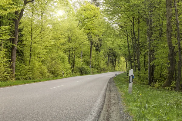 Estrada rural através da floresta de primavera, Alemanha — Fotografia de Stock