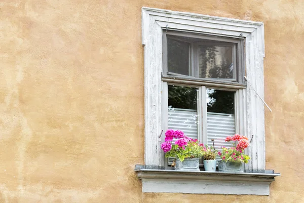 Gamla fönster med blomkrukor — Stockfoto