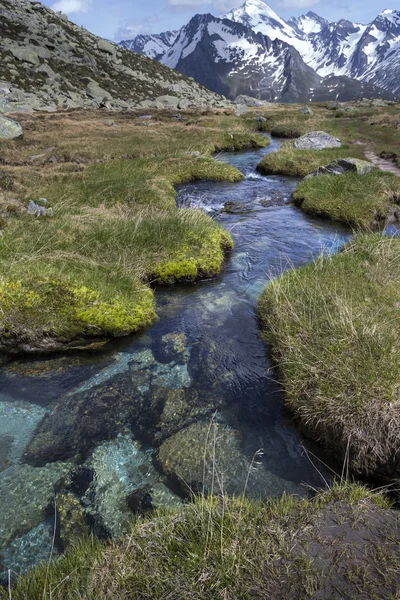 Malerischer Gebirgsbach in den italienischen Alpen, Europa — Stockfoto