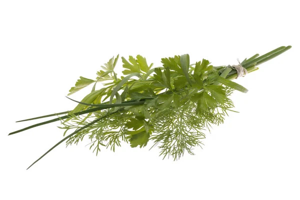 Bundle Fresh Kitchen Herbs White — Stockfoto