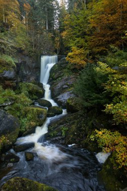 Triberg Şelaleleri Sonbaharda Almanya 'da Kara Ormanda