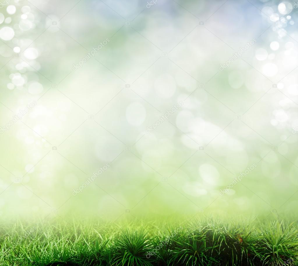 Background of grass. bokeh