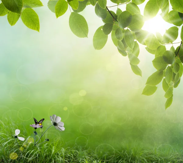 Fondo verde primavera natural — Foto de Stock