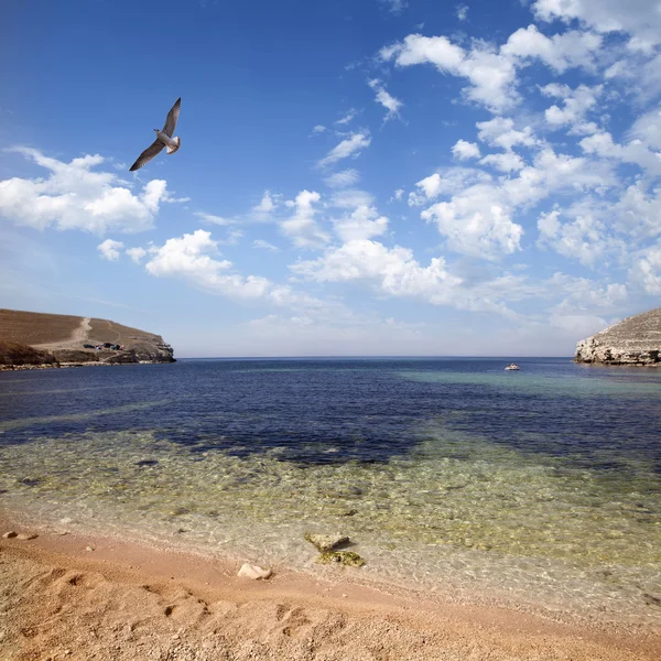 Deniz Sahili köpük, taş, çakıl ve taş. Kırım Dağı — Stok fotoğraf