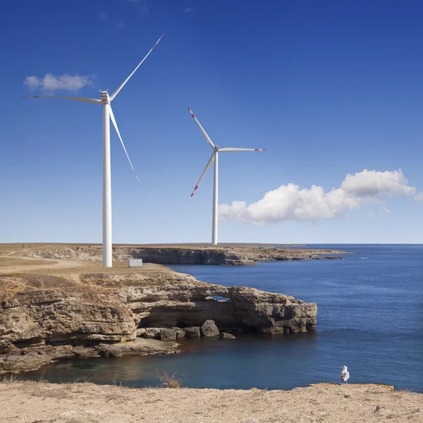 Energía eólica —  Fotos de Stock