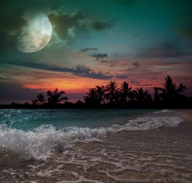 Moon, okyanus ve palmiye ağaçları
