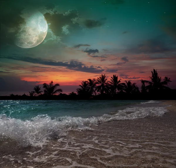 Lua, oceano e palmeiras — Fotografia de Stock