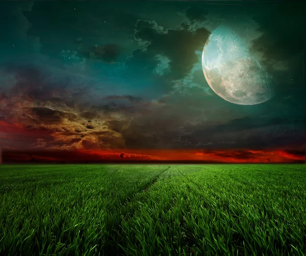 Rural night with moon — Stock Photo, Image