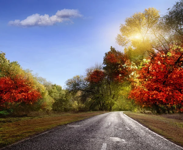 Strada, asfalto, autunno — Foto Stock