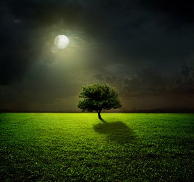 gece ve ay