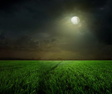 moon ile kırsal gece