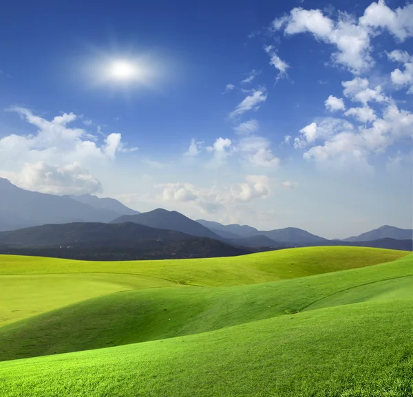 Pradera de montaña — Foto de Stock