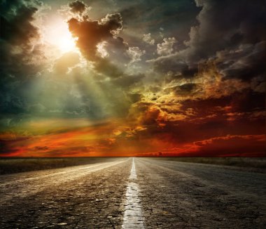 kuş ve yol üzerinde bir düşüş