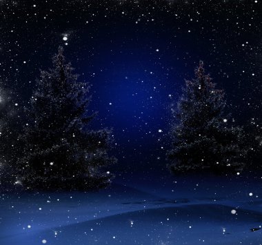Christmas gece ormanda