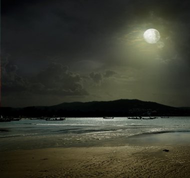 gece balık Okyanusu
