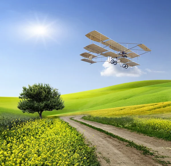 Letadla nad zeleným polem — Stock fotografie