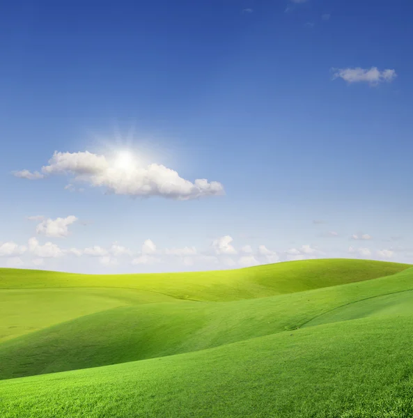 Grönt fält och blå himmel — Stockfoto