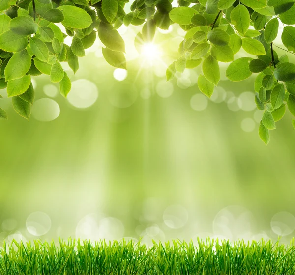 Natural green background - Stock Image - Everypixel